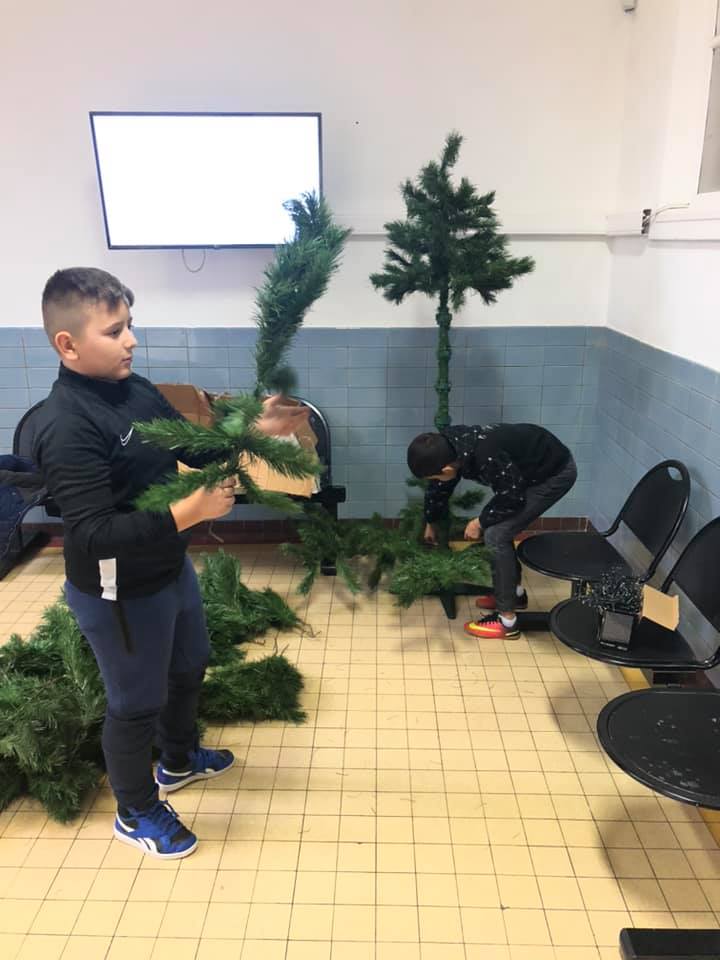Le Marché de Noël se prépare : sapins et décoration