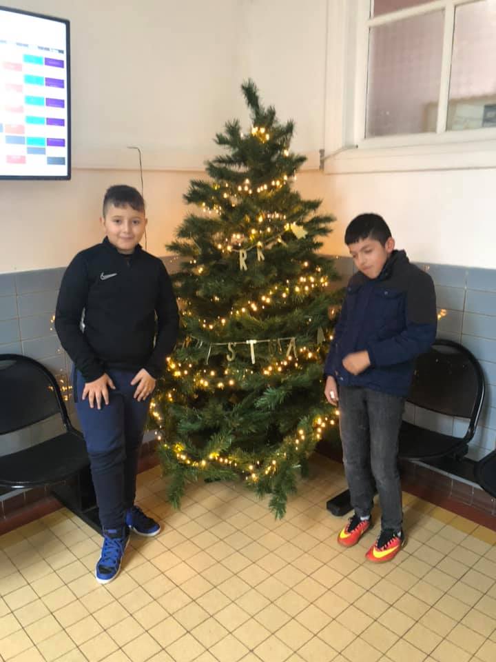 Le Marché de Noël se prépare : sapins et décoration