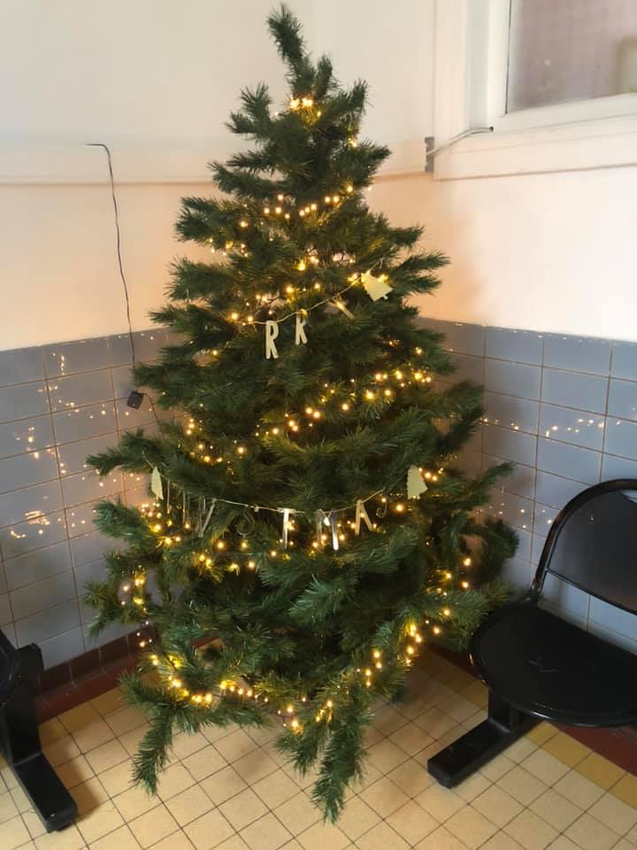 Le Marché de Noël se prépare : sapins et décoration