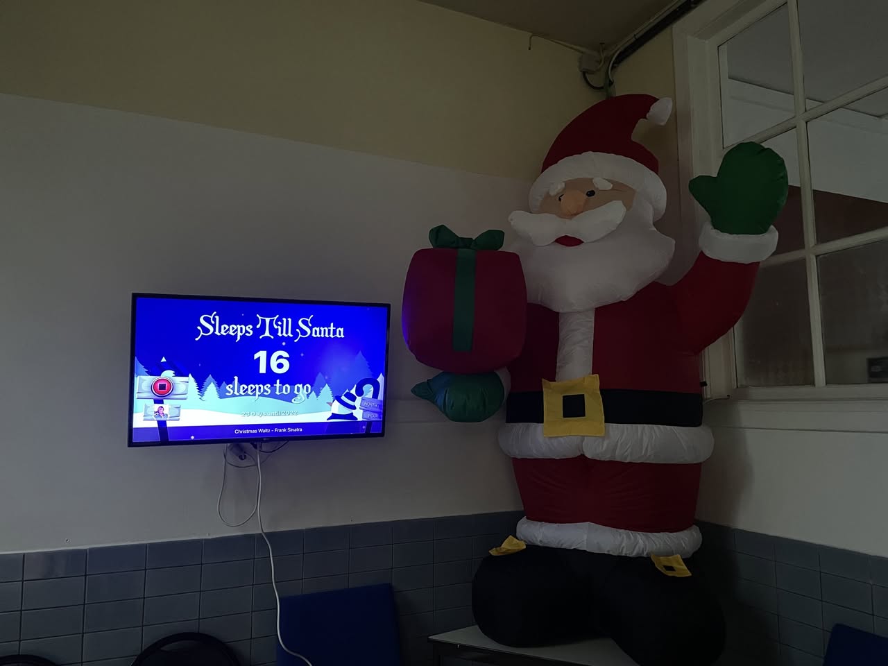 Un beau sapin pour la joie de tous