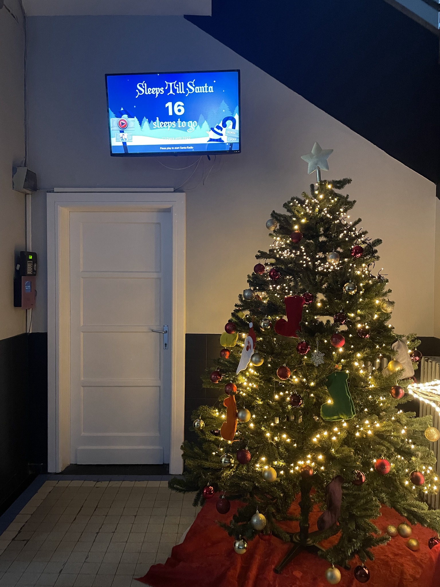 Un beau sapin pour la joie de tous