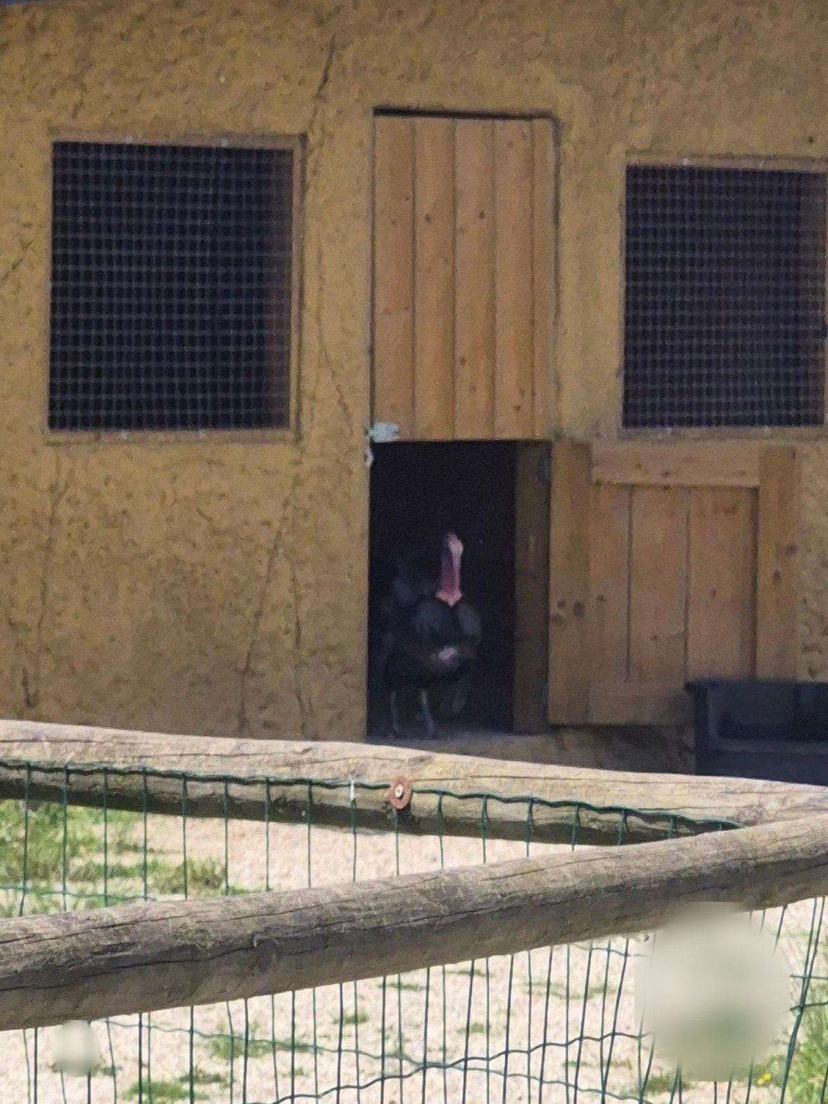 Une belle journée à Jungle City (classe M1A)