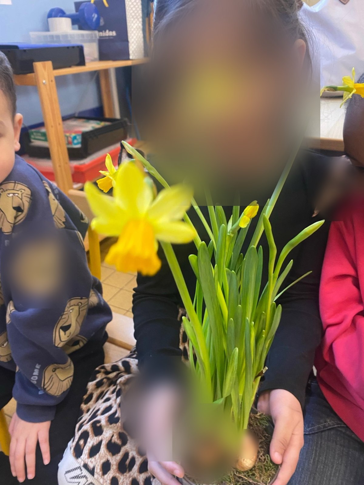 Le printemps est bien arrivé ! (classe M2B)