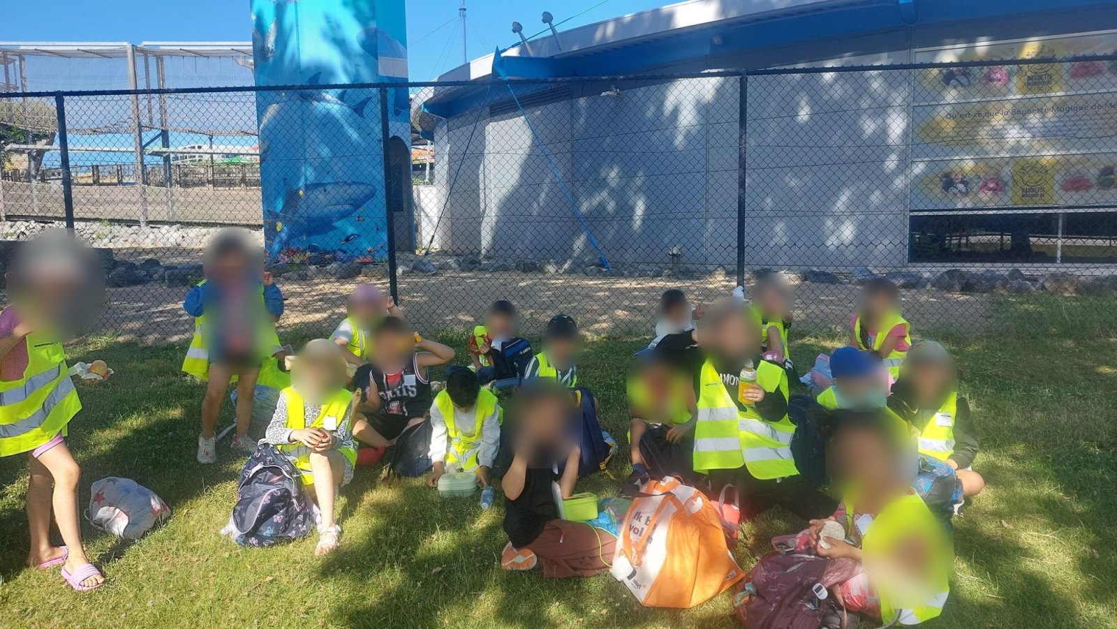 Sortie à Blankenberge : Sea Life (classe P1A)