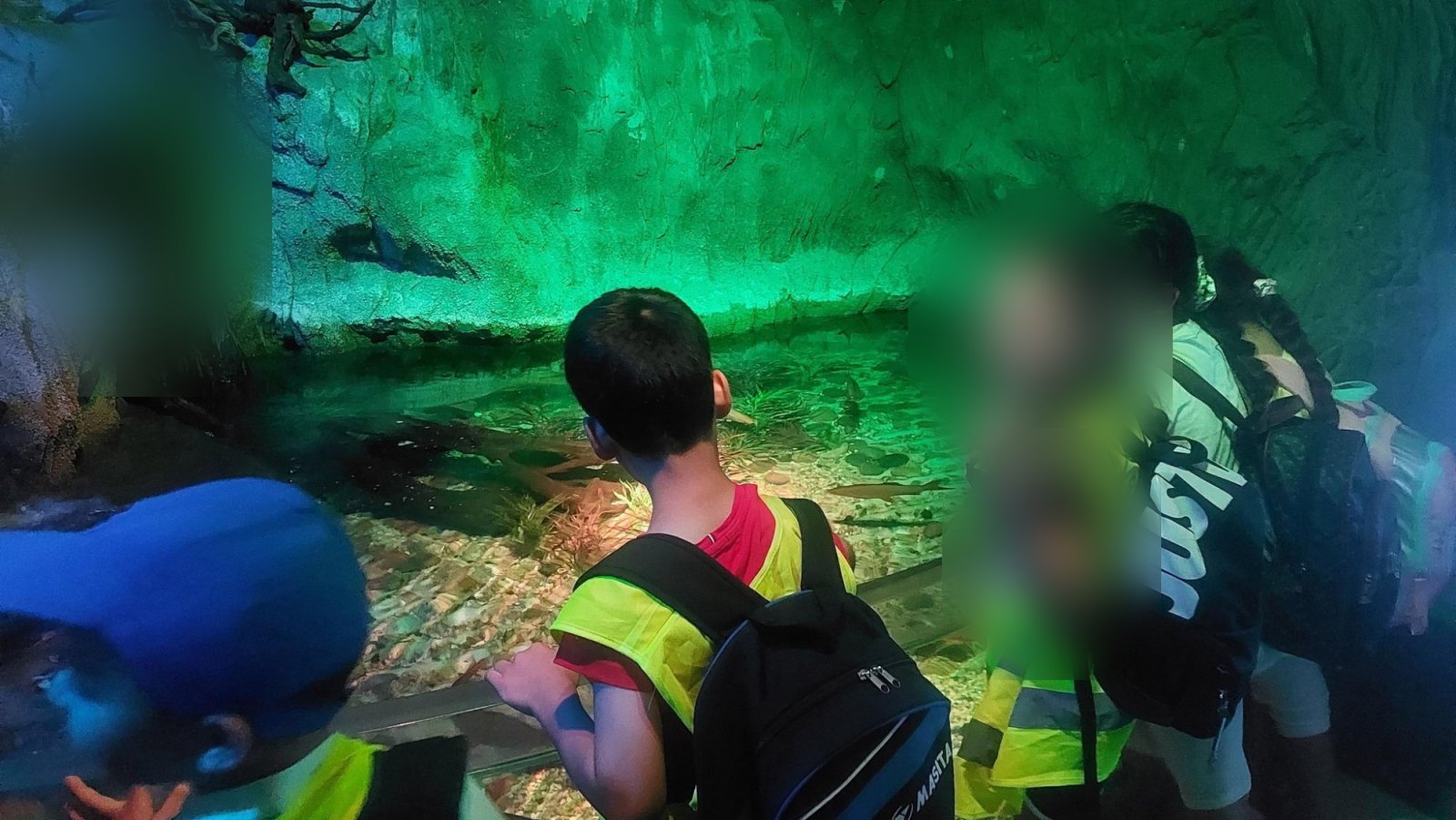Sortie à Blankenberge : Sea Life (classe P1B)