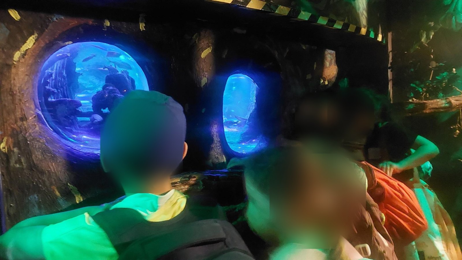 Sortie à Blankenberge : Sea Life (classe P1B)