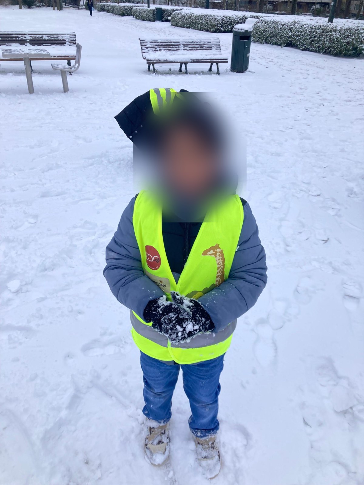Les états de l'eau, et un moment dans la neige (classe P2A)