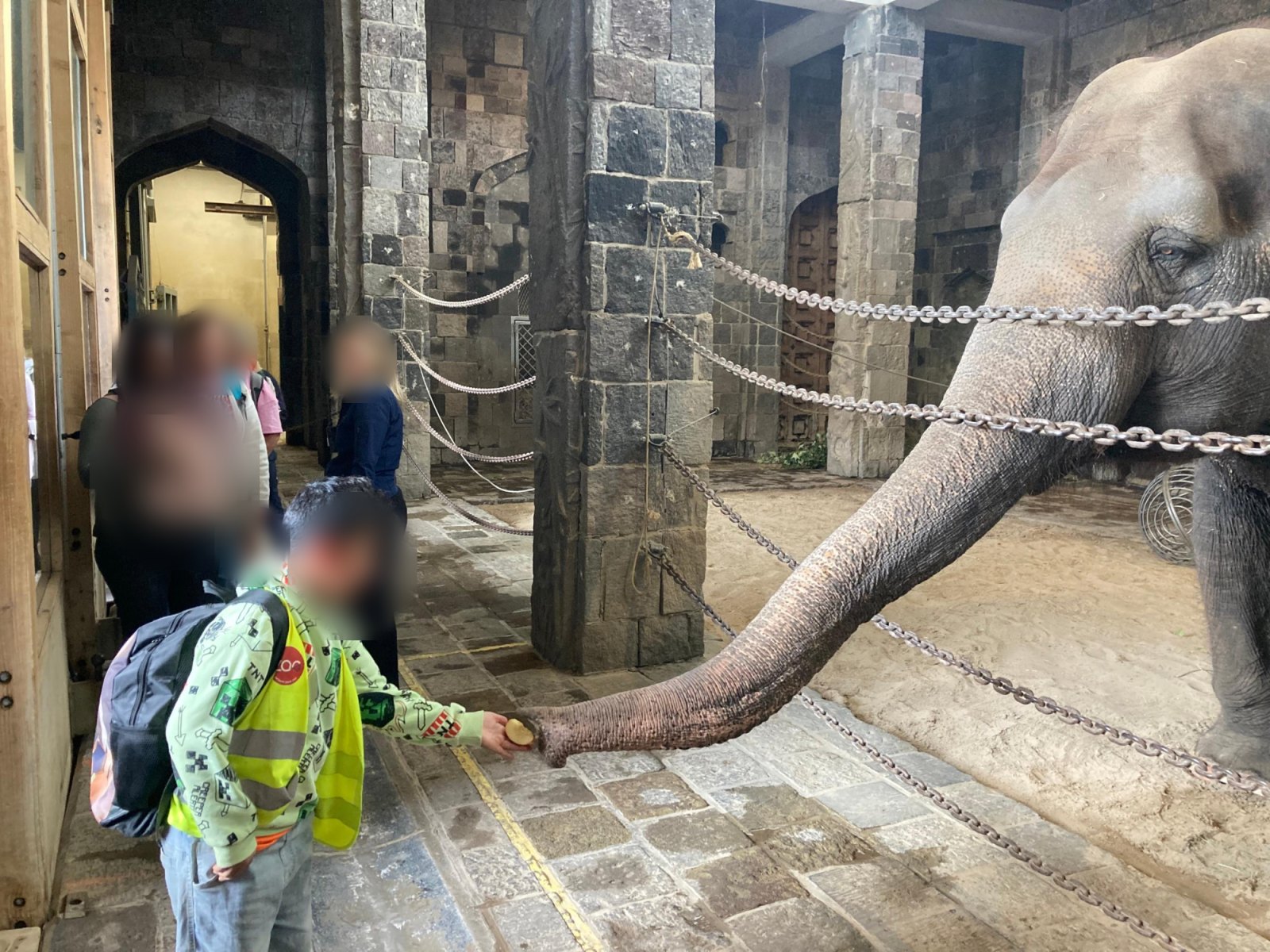 Un moment inoubliable : nourrir l'éléphant (classe P2A)