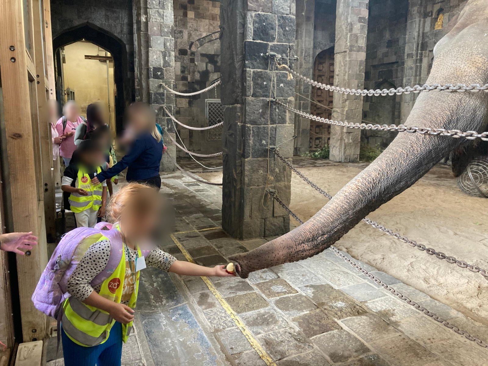Un moment inoubliable : nourrir l'éléphant (classe P2A)