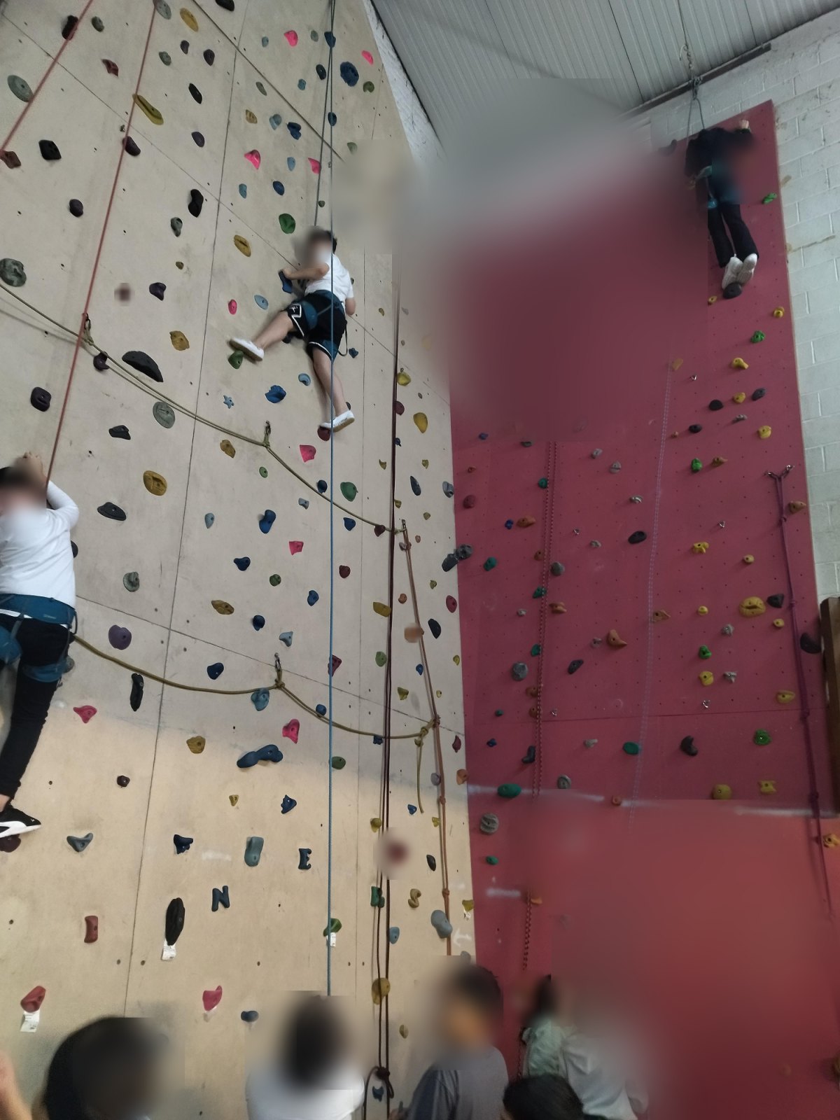 L'escalade : deuxième séance (classe P5B)