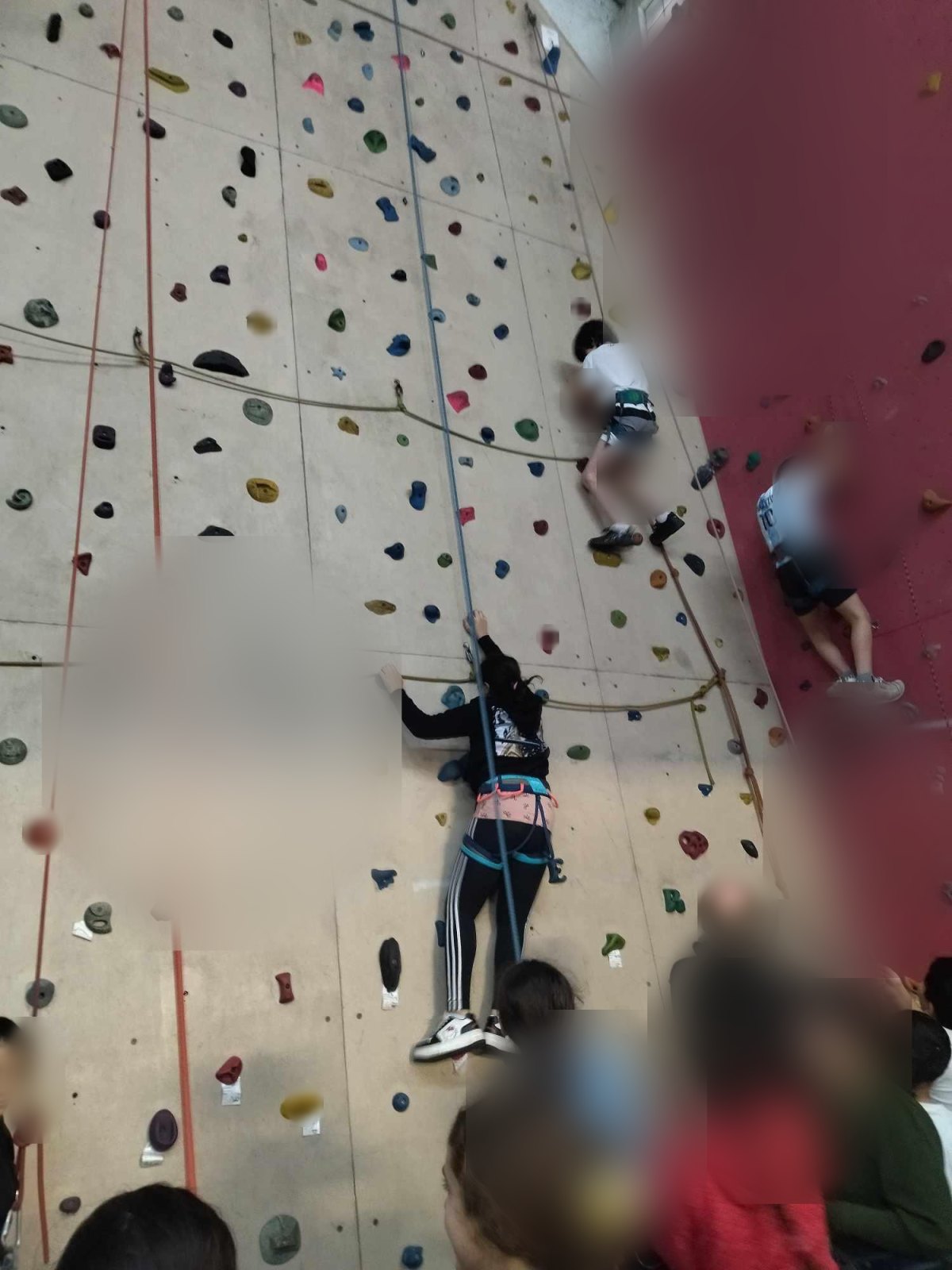 Découverte de l'escalade (classe P6A)