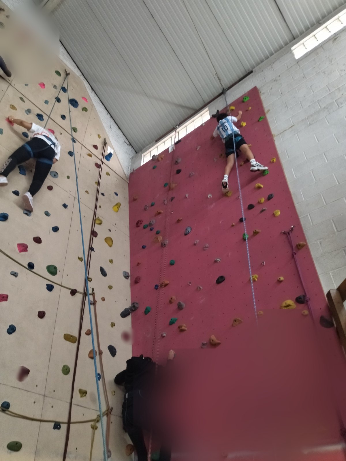 Escalade : deuxième séance (classe P6A)