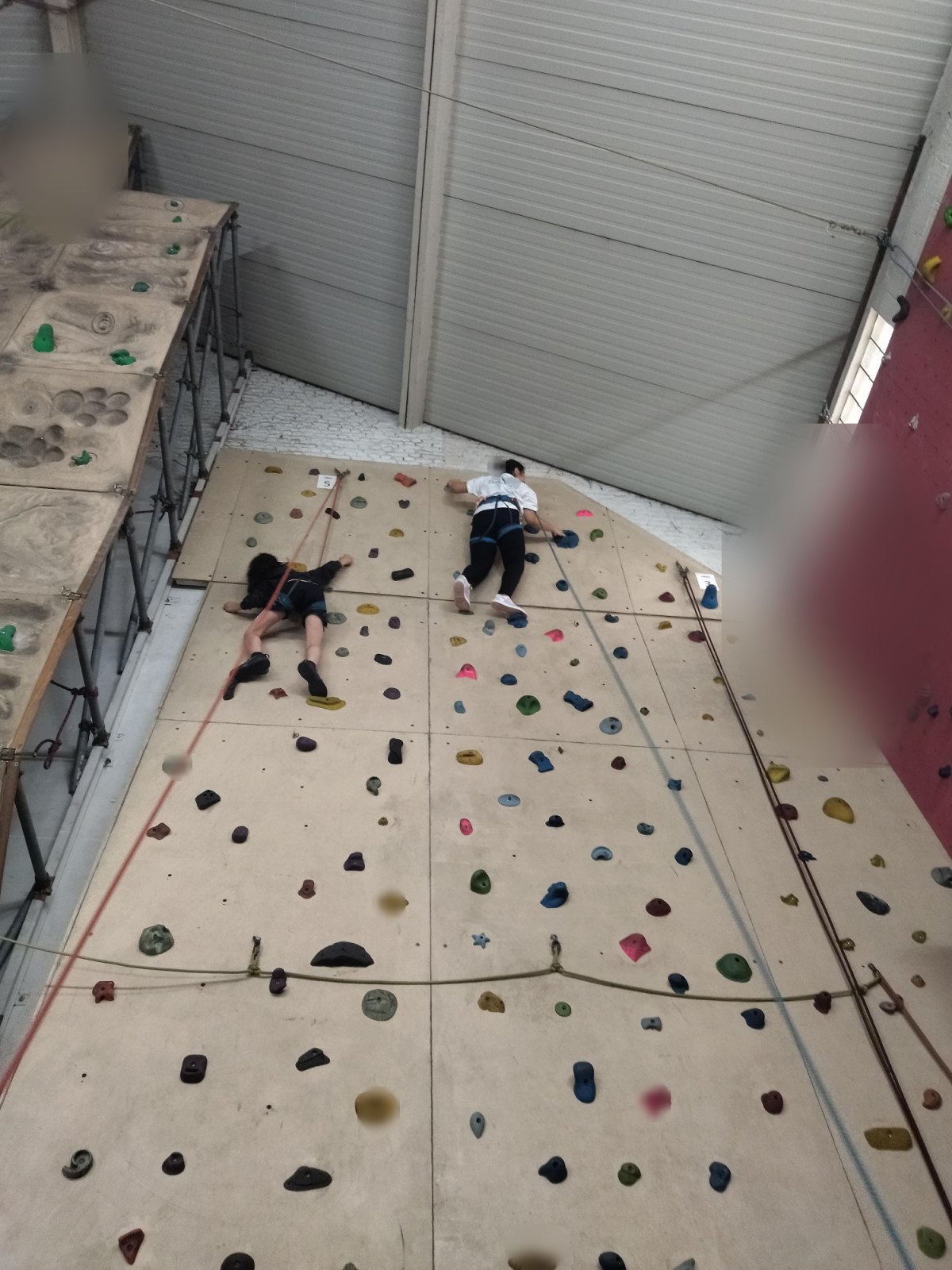 Escalade : deuxième séance (classe P6A)