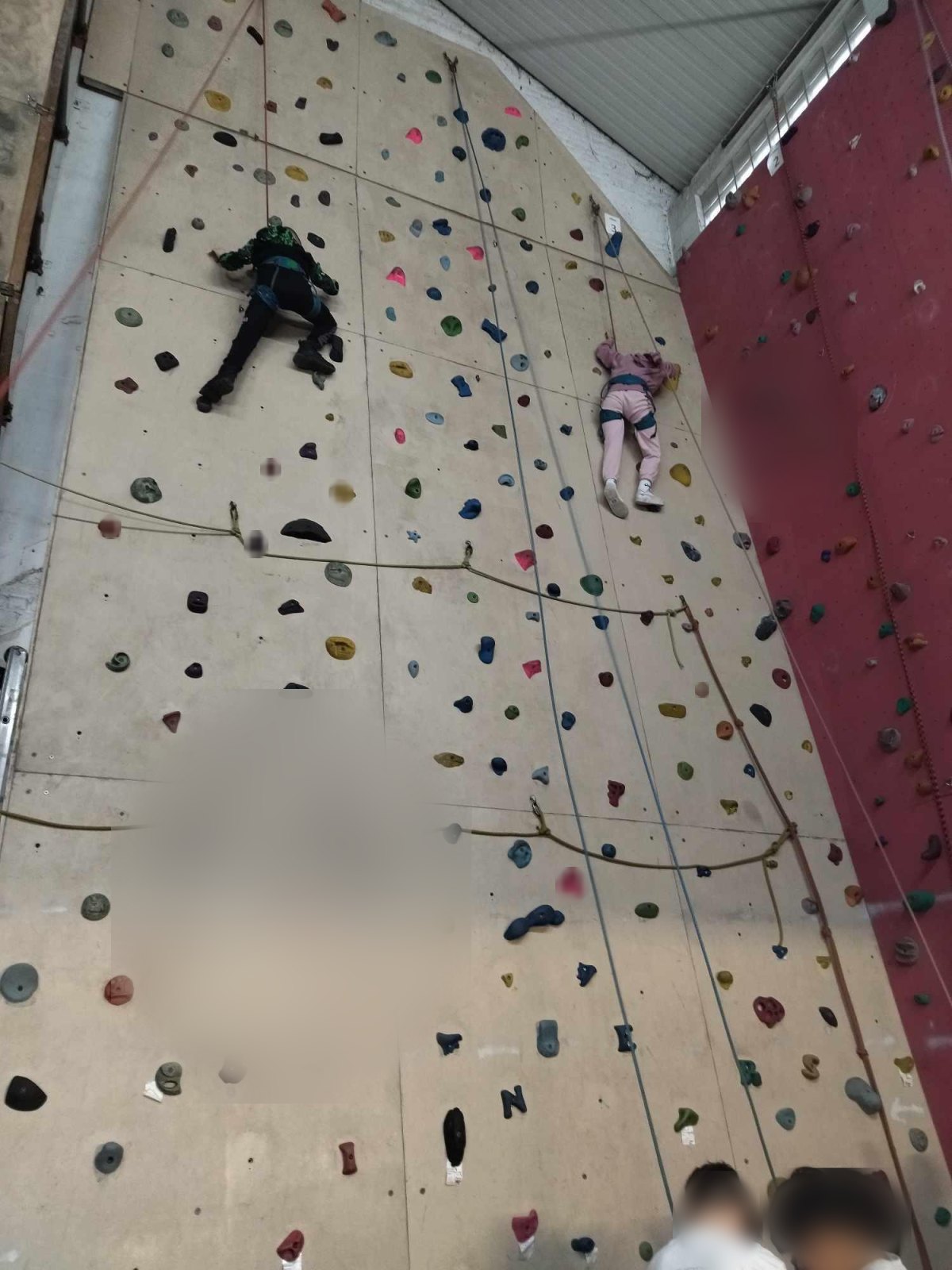 Escalade : une deuxième séance qui montre les progrès (classe P6A)