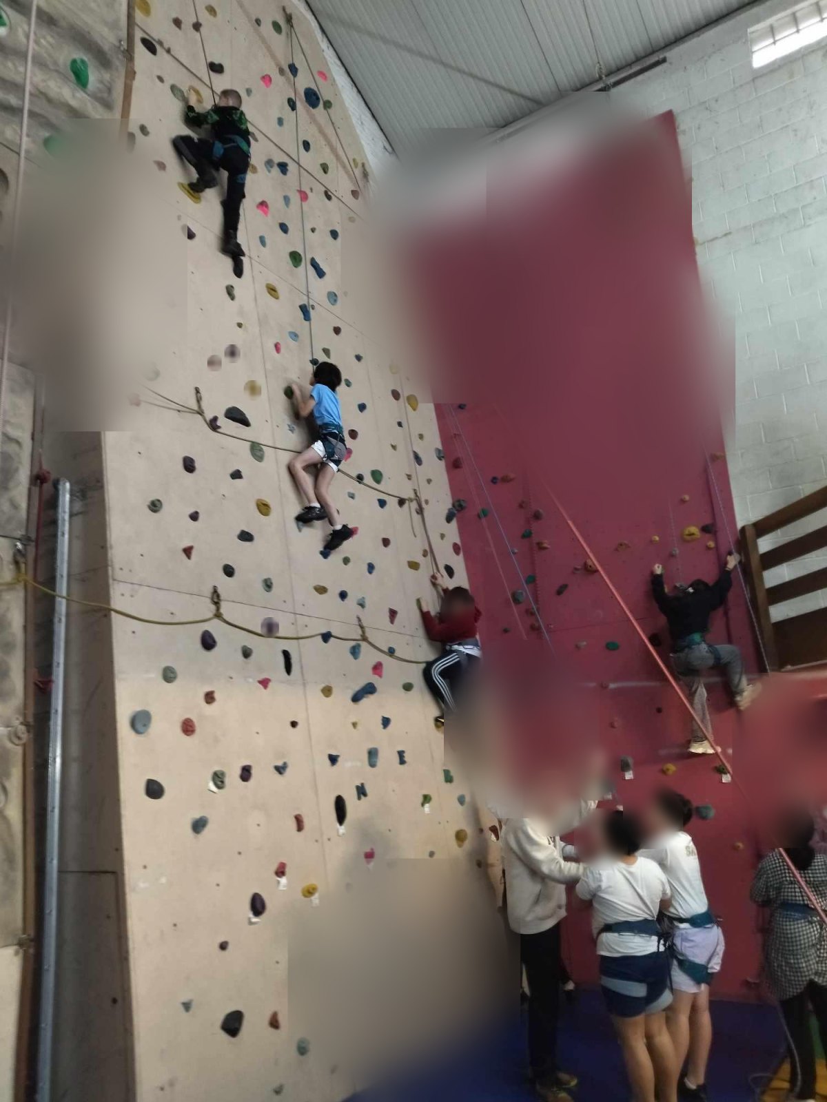 Escalade : une deuxième séance qui montre les progrès (classe P6A)