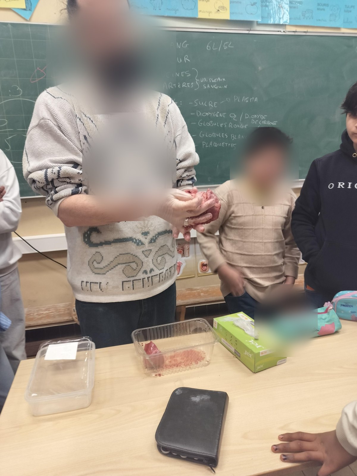 La circulation sanguine expliquée par un animateur (classe P6B)