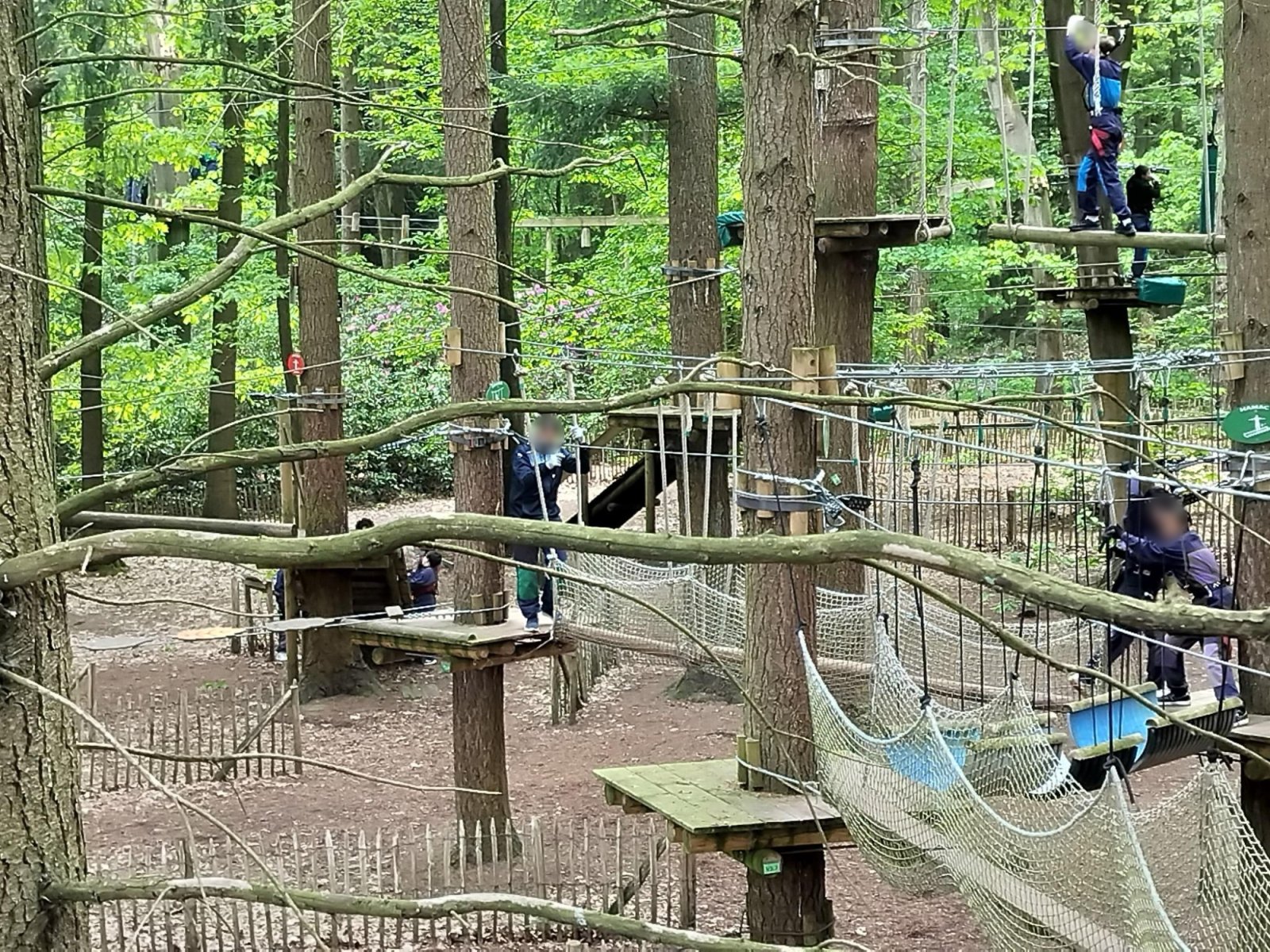 Journée accrobranche (classe P6B)