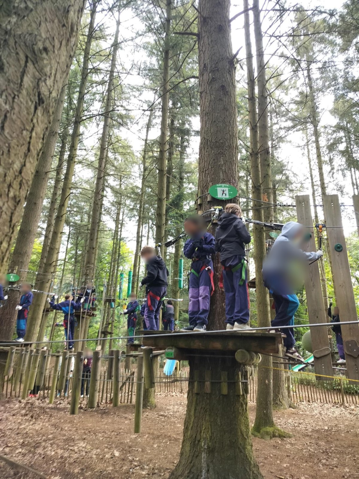 Journée accrobranche (classe P6B)