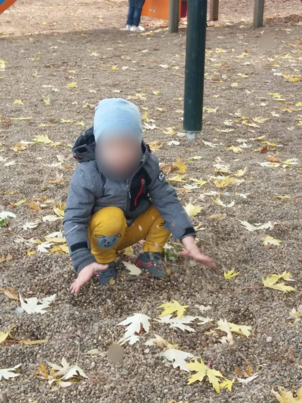 Balade à la découverte de l’automne